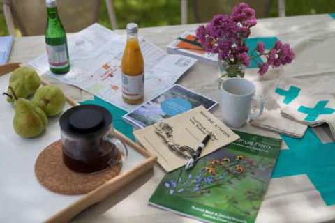 Bird House - Accommodation QLD 0