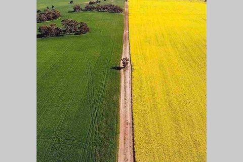 Salty Cottage Northam - Accommodation QLD 3