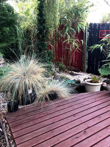 Coastal Garden Shack - Accommodation QLD 3