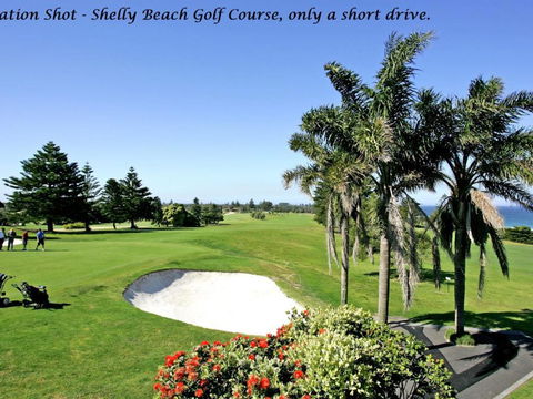 Ocean Palms Unit 2 The Entrance NSW - Accommodation QLD 3