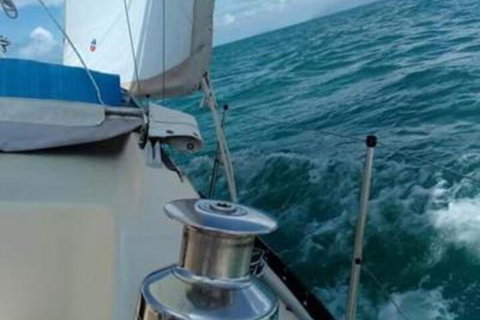 Casual Fare Sailing Charters Townsville Ocean Living Cruise - Accommodation QLD 2