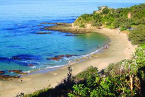 Pacific Studio Nambucca Heads - Accommodation QLD 5