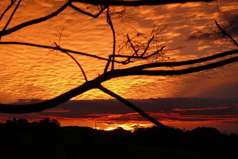 Cedarview Bed & Breakfast - Accommodation QLD 5