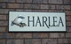 Harlea - thumb 4