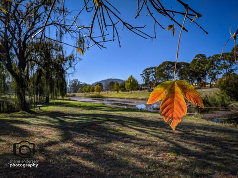 Dillons Cottage - Accommodation QLD 4