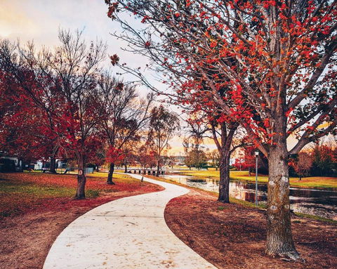 Dillons Cottage - Accommodation QLD 3