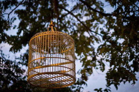 Annies Victorian Terrace Accommodation Fremantle - Accommodation QLD 1