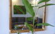 Port Douglas Penthouse Suite - thumb 2