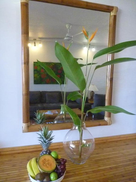 Port Douglas Penthouse Suite - Accommodation QLD 2