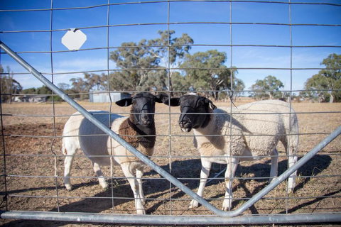 Gindanha - Accommodation QLD 5