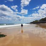 Arena Luxury Beachfront Apartment - Accommodation QLD 0