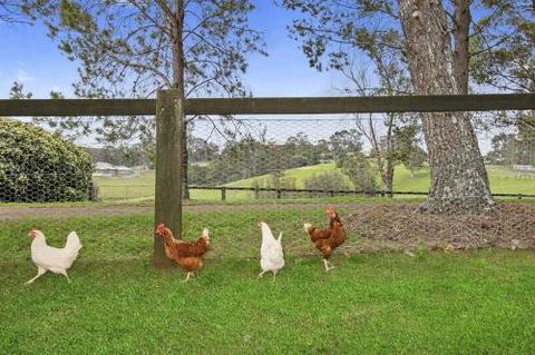 TINY HOME......BIG Views - Accommodation QLD 6