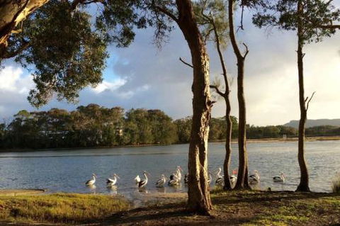 Lakehouse On Oxley - Accommodation QLD 2