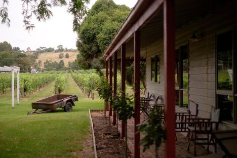 Fergusson Winery Homestead Accomodation - Accommodation QLD 2