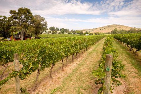 Fergusson Winery Homestead Accomodation - Accommodation QLD 3