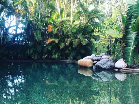 Palm Villas In Port #7 - Accommodation QLD 1