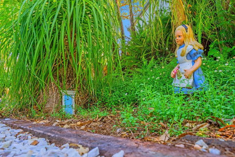 Cloud 9 Cliff Top Eagle Heights - Accommodation QLD 5