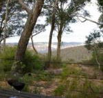 Canyon Cottage - Accommodation QLD