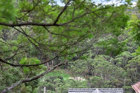 ALAN1 Leafy Tranquil Home - Accommodation QLD 3