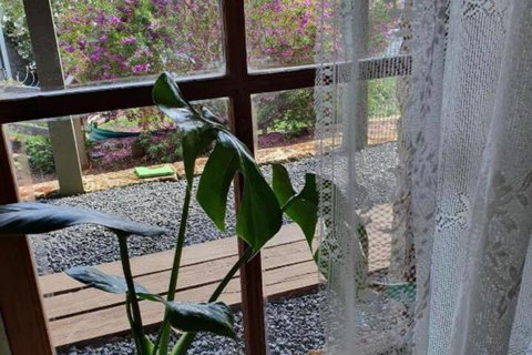 The Green Welly Stop - Accommodation QLD 5