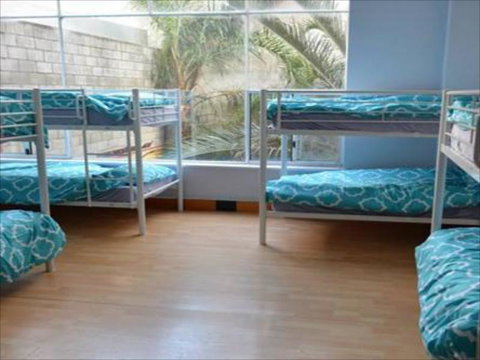 Wombat Backpackers - Accommodation QLD 5