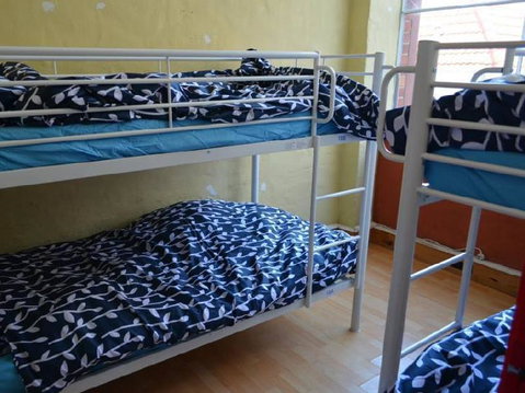 Wombat Backpackers - Accommodation QLD 2