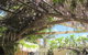 Astoria Retreat B&B - thumb 1