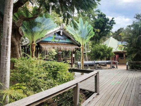 Magnums Airlie Beach - Accommodation QLD 5