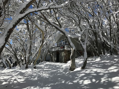 Amber Lodge Mt Buller - Hostel - Accommodation QLD 2