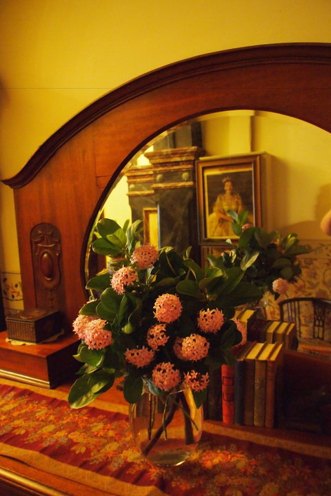 Vacy Hall Toowoomba's Grand Boutique Hotel - Accommodation QLD 6