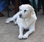 Nazaaray Beach House - Accommodation QLD