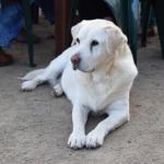 Nazaaray Beach House - Accommodation QLD 0