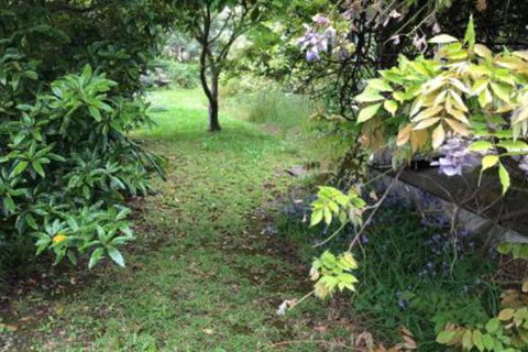 Lorelei Bed & Breakfast - Accommodation QLD 2