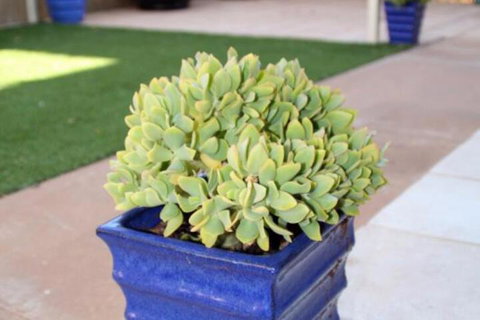 Sunset Retreat - Accommodation QLD 3