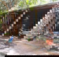 Kerriley Park Farm Stay - Accommodation QLD