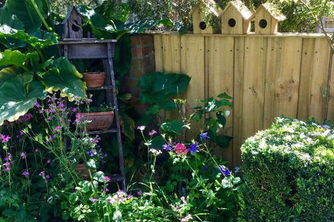 Aggies Bed & Breakfast - Accommodation QLD 7