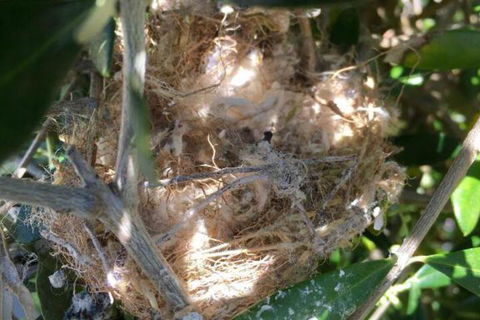 Aggies Bed & Breakfast - Accommodation QLD 2