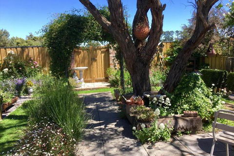 Aggies Bed & Breakfast - Accommodation QLD 5