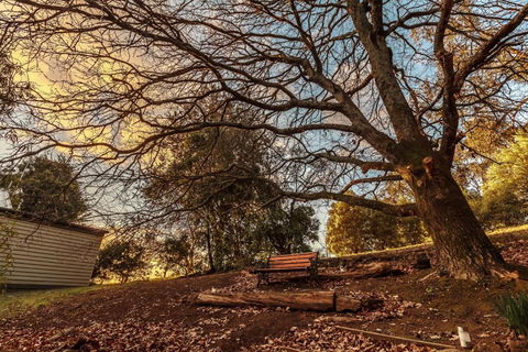 Forest Ave Cottages - Accommodation QLD 1