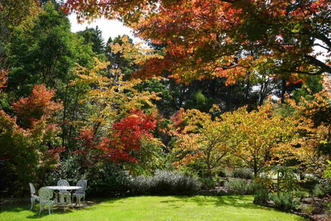 Wimbeldon - Accommodation QLD 4