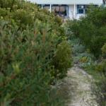 Polperro A Quintessential Seaside Experience - Accommodation QLD 0