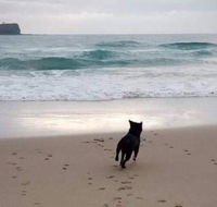 Breakers at Mudjimba Beach - Accommodation QLD