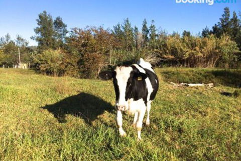 Old Schoolmasters Cottage On The Barrington River - Accommodation QLD 1