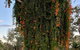 Amarina Farm Stay & Gardens - thumb 6
