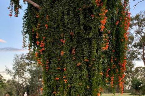 Amarina Farm Stay & Gardens - Accommodation QLD 6