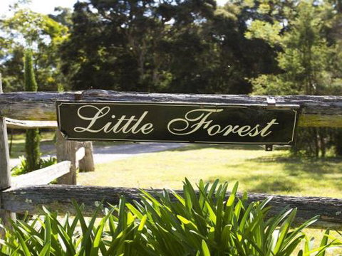 THE ANGAS CARRIAGE Alpine Southern Highlands 4pm Check Out On Sundays - Accommodation QLD 5