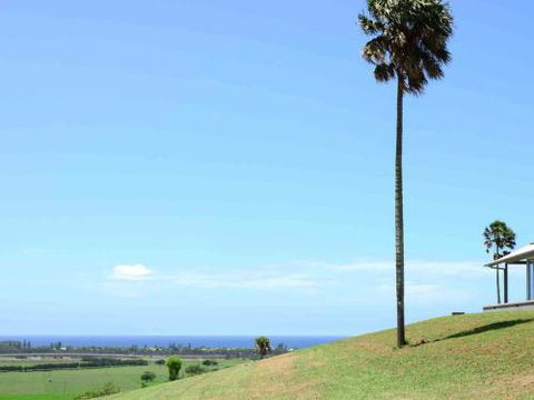ROSE VALLEY Gerringong 4pm Check Out Sundays - Accommodation QLD 0