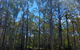 Lakes Entrance Log Cabins - thumb 1