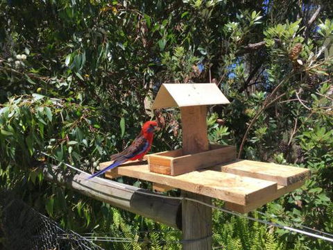 Rosella Cottage Waratah Bay - Accommodation QLD 1
