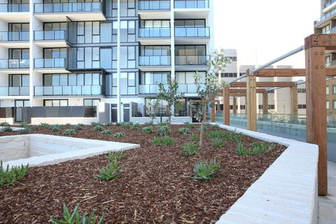 Arena On The Beach - Accommodation QLD 0